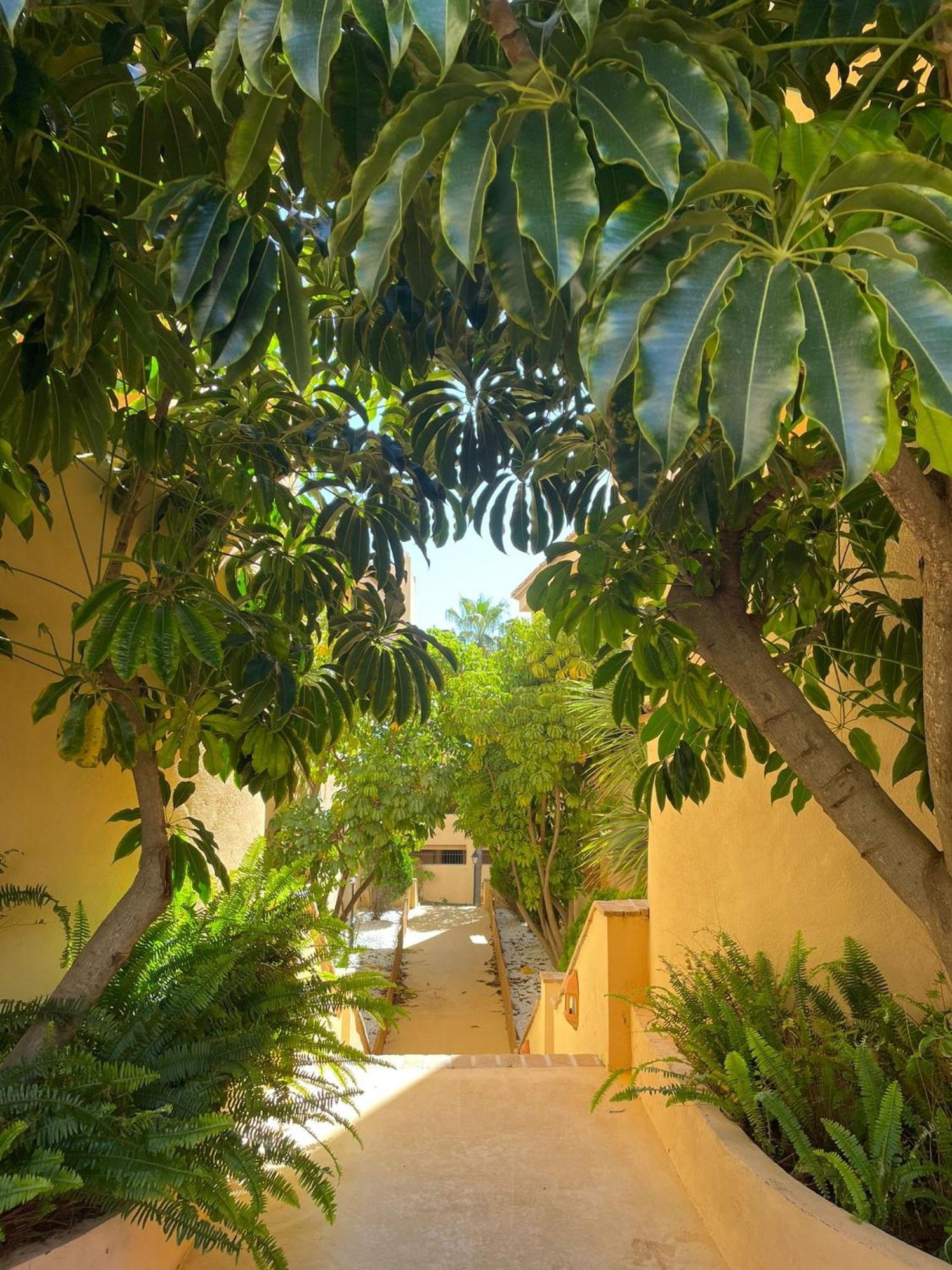 Santa Maria Village, Elviria, 马尔韦利亚 外观 照片